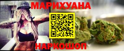 крисы Нальчик