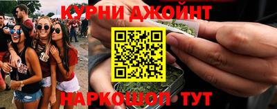крисы Нальчик