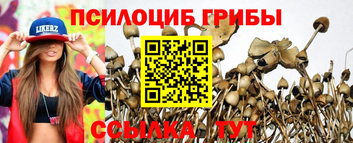 Галлюциногенные грибы Magic Shrooms Старая Купавна